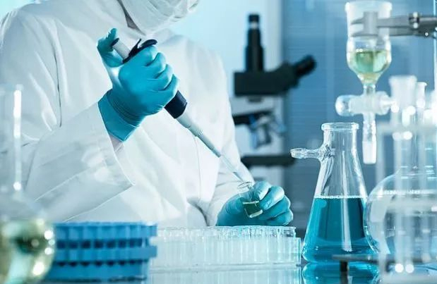 10多年行业经验